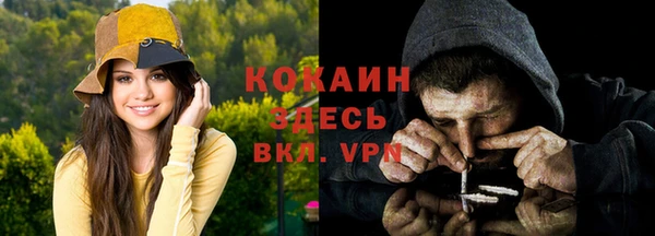 гашик Богородицк
