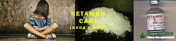 ПСИЛОЦИБИНОВЫЕ ГРИБЫ Баксан