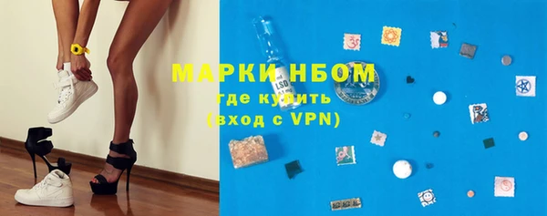 ПСИЛОЦИБИНОВЫЕ ГРИБЫ Баксан