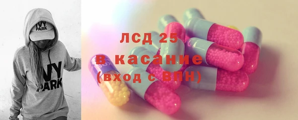 ПСИЛОЦИБИНОВЫЕ ГРИБЫ Баксан